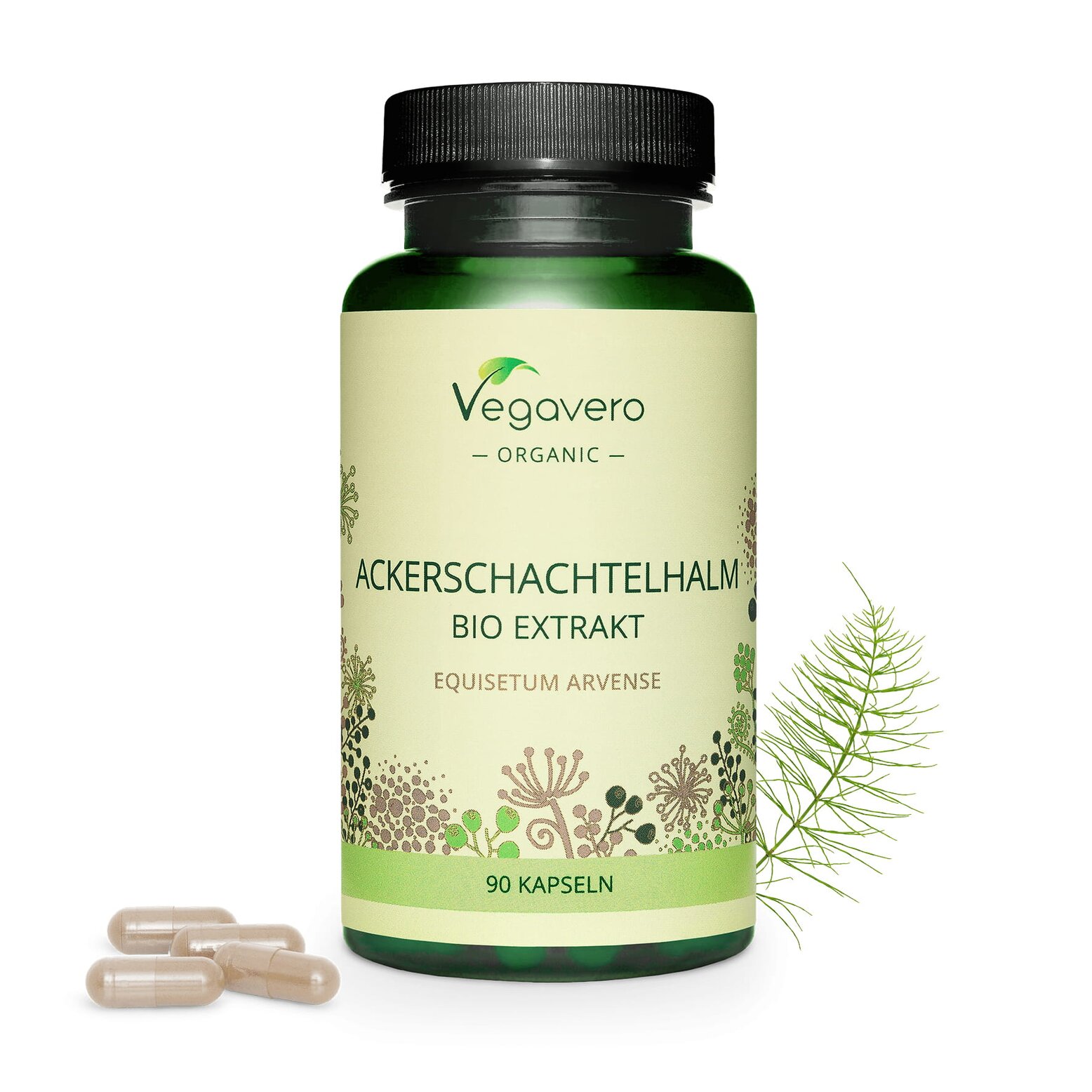 Vegavero Ackerschachtelhalm BIO | 90 Kapseln | mit wertvollen Flavonoiden und Anthocyanidinen | 100% natürlich | vegan
