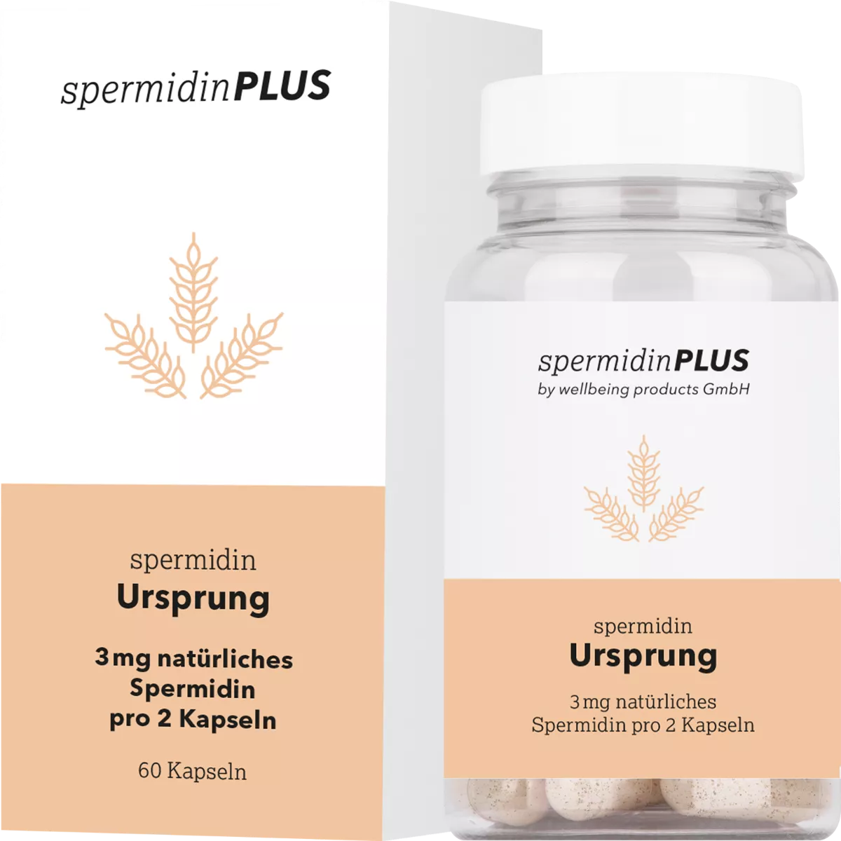 SpermidinPLUS Spermidin Ursprung | 60 Kapseln