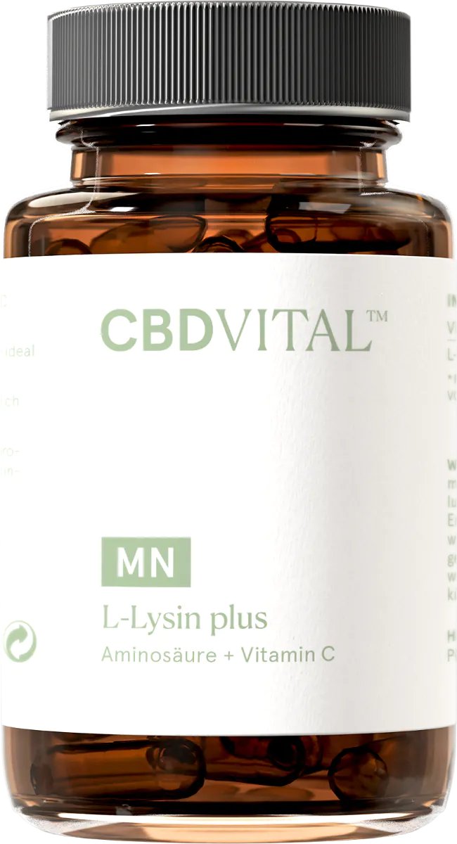 CBD Vital L-Lysin plus | 60 Kapseln | Aminosäure + Vitamin C
